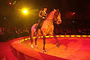 Hohe Schule mit Jana Mandana (©Foto: Martin Schmitz)